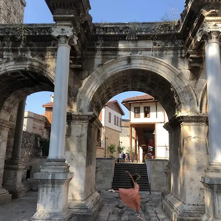 Arkk Homes 4* Antalya